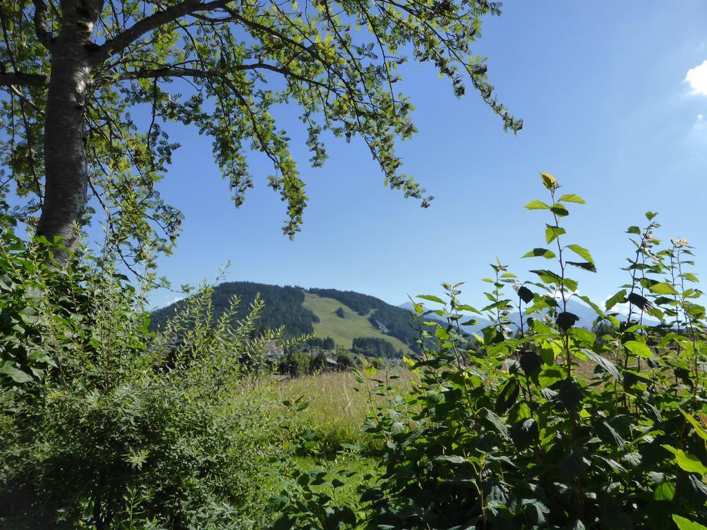 Haus Suedblick Appartements Seefeld in Tirol Esterno foto